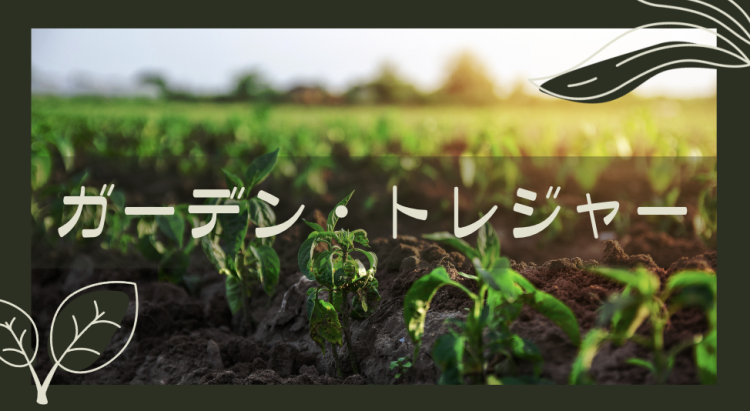 ていねいなくらし